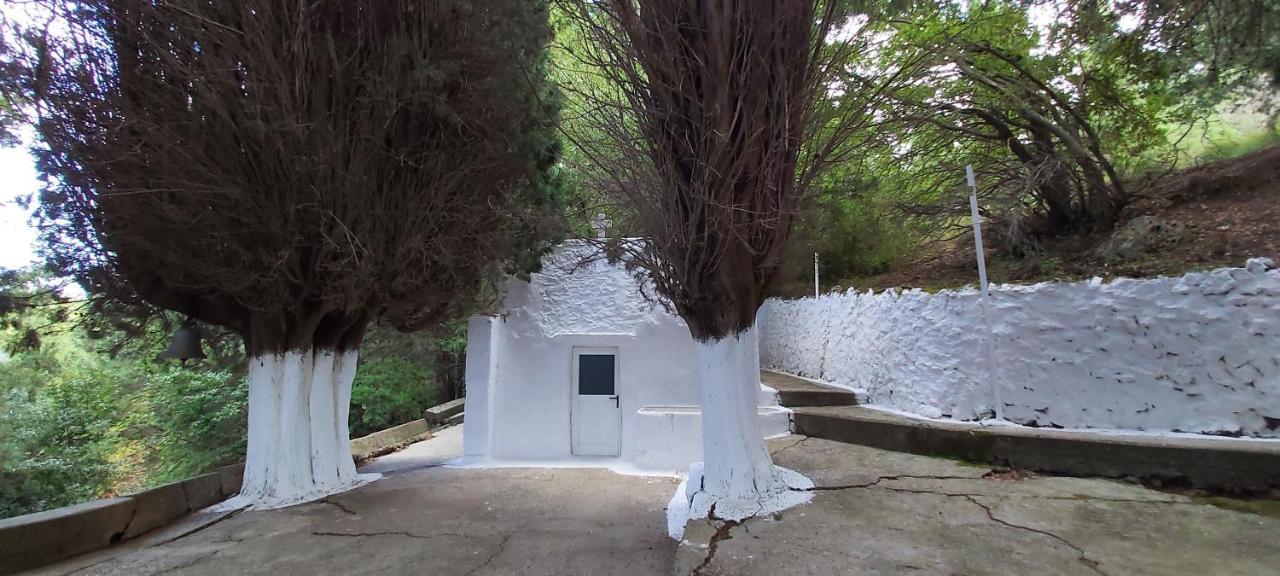 Traditional House In Asfendiou Agios Dimitrios  Exterior photo